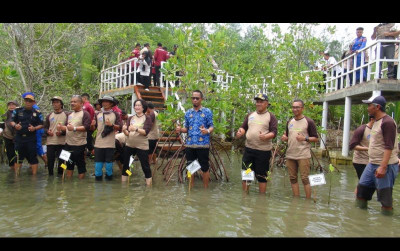 uploads/news/2024/12/hutan-mangrove-pangandaran-pilihan-976674b742db4d6_400.jpg