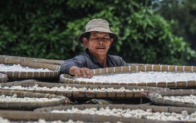 uploads/news/2024/12/kampung-adat-cireundeu-mandiri-31660a32f4220e4_400.jpeg
