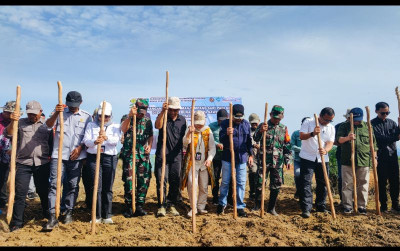 uploads/news/2024/12/kejar-swasembada-pangan-lahan-79757aeb5791581_400.jpeg
