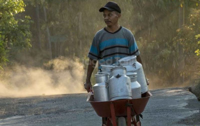 uploads/news/2024/12/kementan-dorong-produksi-susu-17456f8117698ee_400.jpg