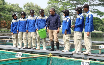 uploads/news/2024/12/kkp-kembangkan-budidaya-ikan-93987a6d218b79d_400.jpg