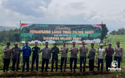 uploads/news/2024/12/manfaatkan-lahan-tidur-perhutani-41839a7ea6179af_400.jpg
