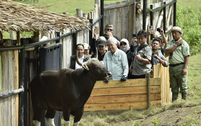 uploads/news/2024/12/menhut-resmikan-reintroduksi-banteng-900830064bcce62_400.jpg