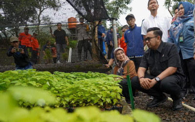 uploads/news/2024/12/pembagian-bibit-gratis-dorong-29125f9b3285d39_400.jpg