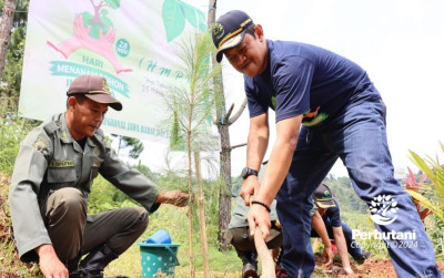 uploads/news/2024/12/perhutani-tanam-24-juta-64777e25d357a20_400.jpg