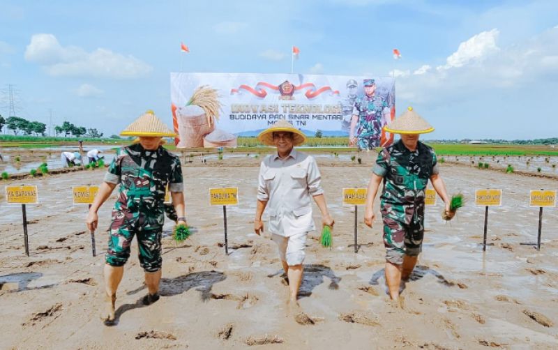 uploads/news/2024/12/perkuat-kolaborasi-mentan-amran-201699e044ea0ed.jpeg