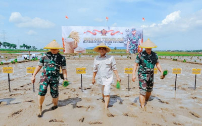 uploads/news/2024/12/perkuat-kolaborasi-mentan-amran-201699e044ea0ed_400.jpeg