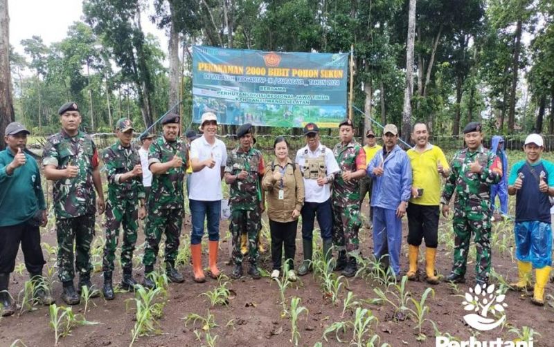 uploads/news/2024/12/ribuan-pohon-sukun-ditanam-33169cea692731f.jpg