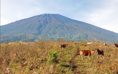 uploads/news/2024/12/rinjani-meriri-menuju-zero-60093b24bb1450c_400.jpg