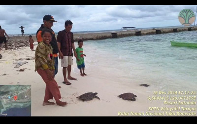 uploads/news/2024/12/warga-latondu-selamatkan-penyu-735558d0a2ec709_400.jpeg