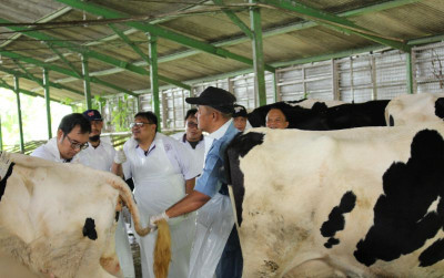 uploads/news/2025/01/atasi-pmk-kementan-gelar-45180adeef74b5f_400.jpeg