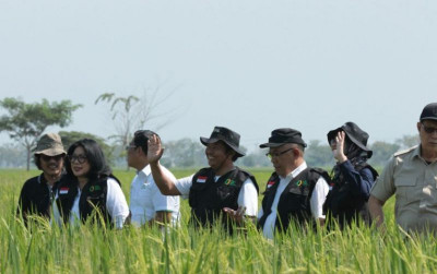 uploads/news/2025/01/jelang-perubahan-hpp-gabah--36943587644fe4c_400.jpeg