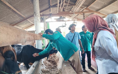 uploads/news/2025/01/kementan-beri-edukasi-peternak-115588b525341ac_400.jpeg