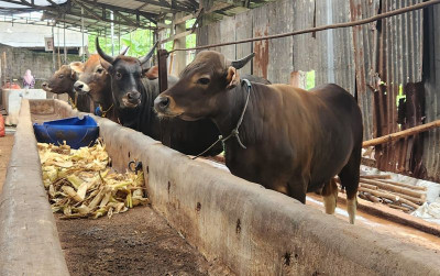uploads/news/2025/01/kementan-lakukan-edukasi-bagi-66389dba1b52ea3_400.jpeg