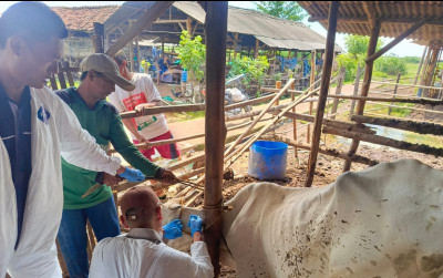 uploads/news/2025/01/kementan-tingkatkan-upaya-pencegahan-1465473ca01644b_400.jpeg