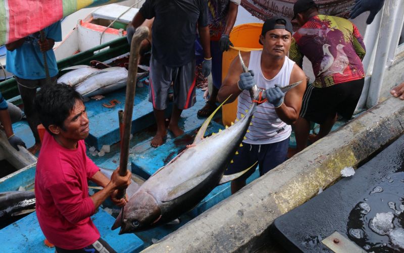 uploads/news/2025/01/kkp-pastikan-awak-kapal-4135955b007d424.jpg