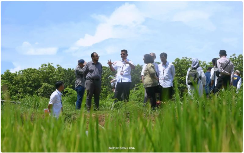 uploads/news/2025/01/manfaatkan-garis-pantai-padi-39073cf6d95e1f1.png