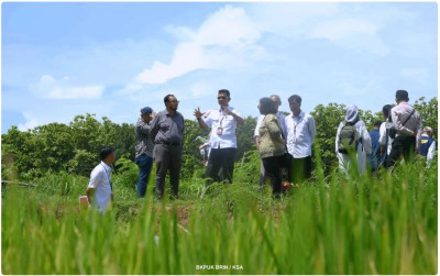uploads/news/2025/01/manfaatkan-garis-pantai-padi-39073cf6d95e1f1_400.png
