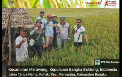 uploads/news/2025/01/monitoring-persiapan-panen-lahan-81986e980742c21_400.jpg