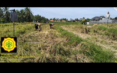 uploads/news/2025/01/musim-hujan-berdampak-pada-4270985b320c172_400.jpg