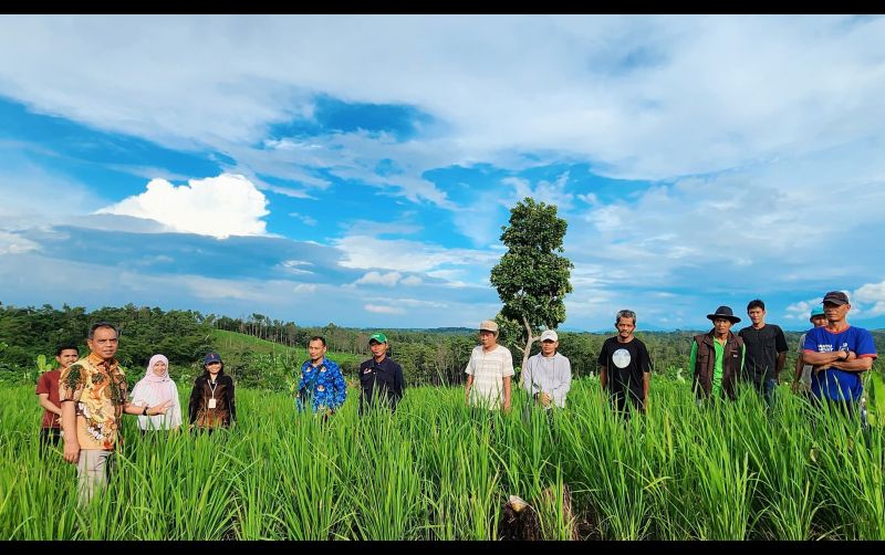uploads/news/2025/01/padi-gogo-solusi-kebutuhan-74585ad534c795f.jpg