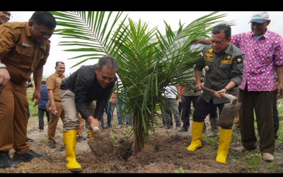 uploads/news/2025/01/padi-gogo-solusi-tingkatkan-71671b7150b308d_400.jpeg