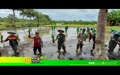 uploads/news/2025/01/perdana-inkubator-penangkar-benih-1873381204c3ef4_400.png