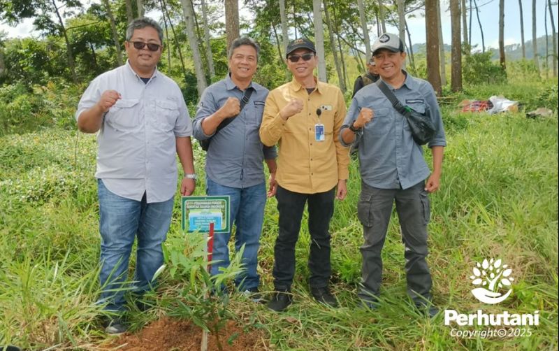 uploads/news/2025/01/perhutani-tanam-pohon-bersama-39595bc1b639157.jpg