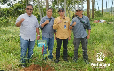 uploads/news/2025/01/perhutani-tanam-pohon-bersama-39595bc1b639157_400.jpg