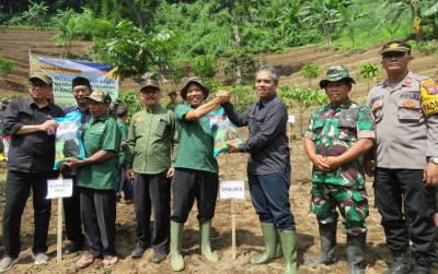 uploads/news/2025/01/tanam-padi-gogo-di-82774a62b8325d1_400.jpg