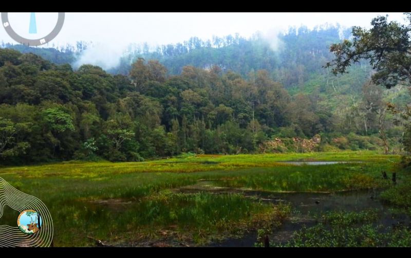 uploads/news/2025/02/bbksda-jatim-mitigasi-bencana-54499364c8c6ec4.jpg