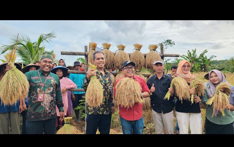 uploads/news/2025/02/berkat-padi-gogo-panen-74983c1605af984.jpeg