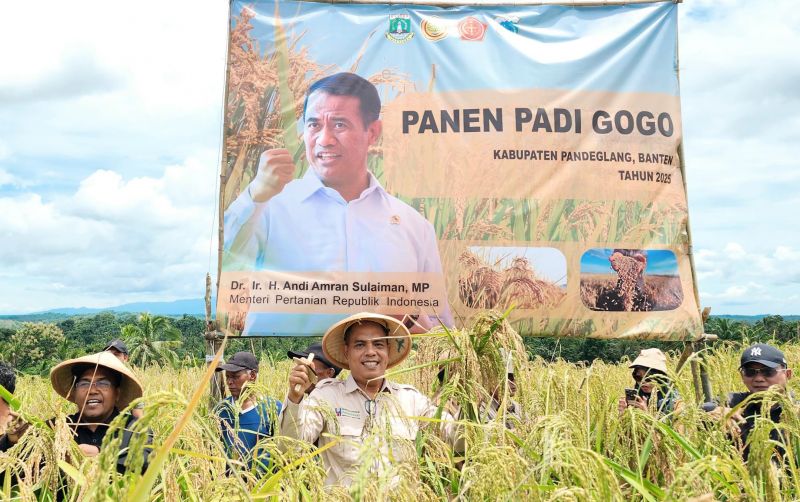 uploads/news/2025/02/berkat-padi-gogo-sukses-86977cb358cc15d.jpeg