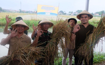 uploads/news/2025/02/bulog-panen-padi-berteknologi-8863650ba05850a_400.jpeg