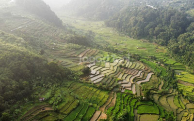 uploads/news/2025/02/indonesia-tuan-rumah-forum-87154d4687dbcf6_400.jpg