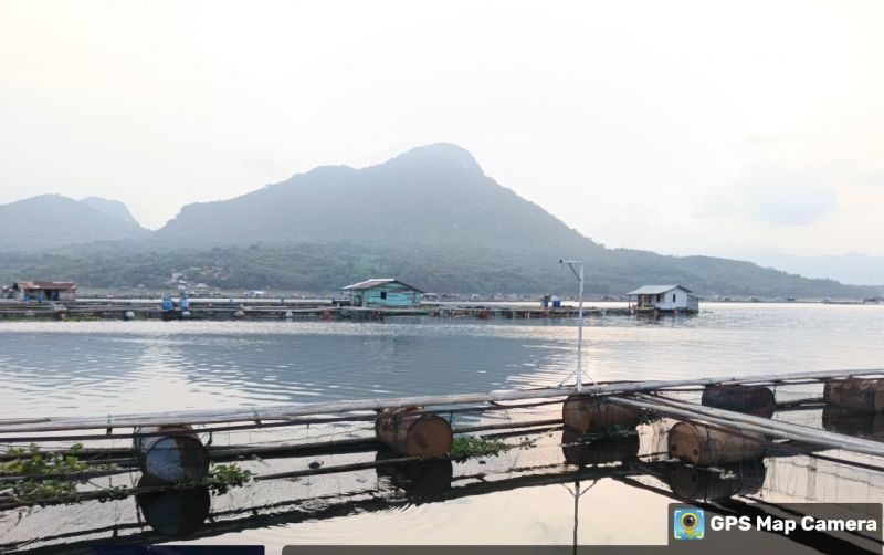uploads/news/2025/02/kkp-peringatkan-siklus-kematian-1271710571bdec4.jpg
