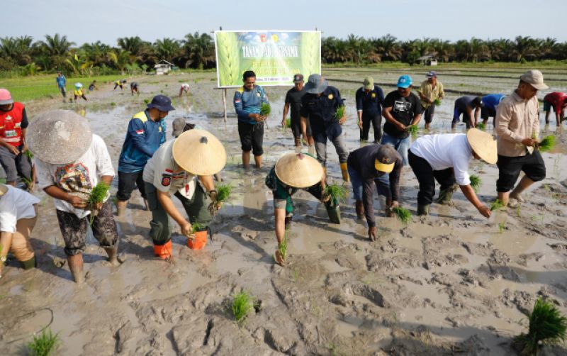 uploads/news/2025/02/kotawaringin-barat-tanam-perdana-898372f2afe9d11.jpeg