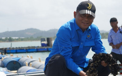 uploads/news/2025/02/modeling-budidaya-lobster-di-25036509f23f8dd_400.jpg