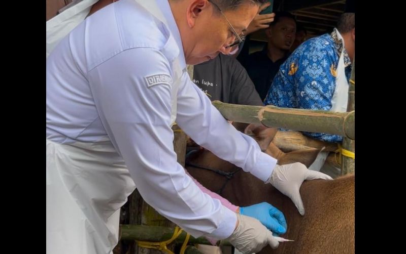 uploads/news/2025/02/penyebaran-pmk-meningkat-kementan-15183471838b89d.jpeg