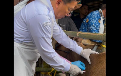 uploads/news/2025/02/penyebaran-pmk-meningkat-kementan-15183471838b89d_400.jpeg
