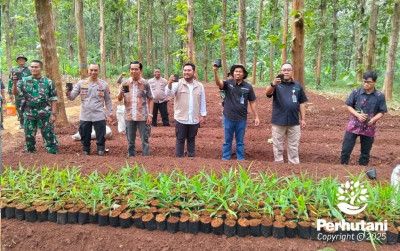 uploads/news/2025/02/perhutani-kph-kendal-tanam-55323f38dd14d4a_400.jpg