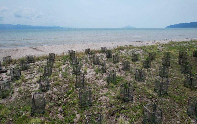 uploads/news/2025/02/program-penanaman-vegetasi-pantai--635422281efcaa8.jpg