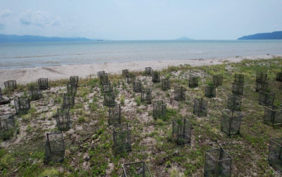 uploads/news/2025/02/program-penanaman-vegetasi-pantai--635422281efcaa8_400.jpg