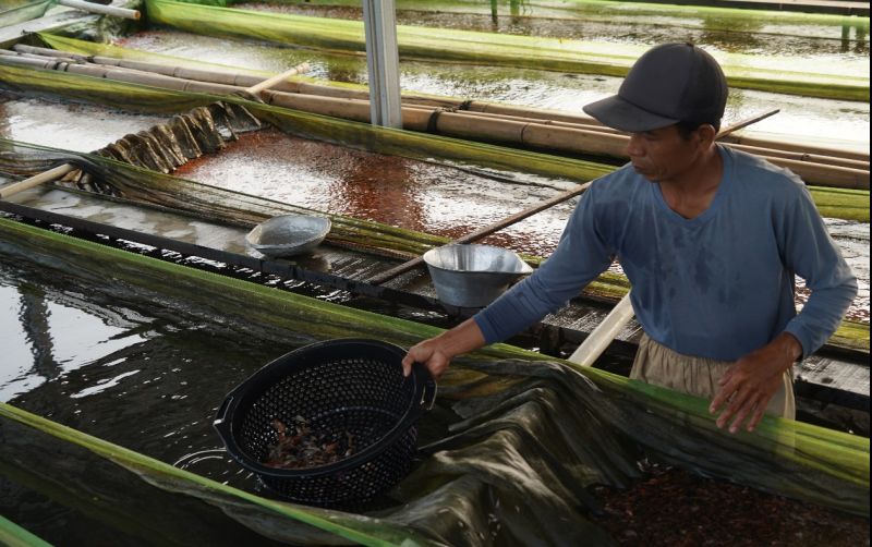 uploads/news/2025/02/pupuk-bersubsidi-diprioritaskan-pembudidaya-113656f5bba6f2d.jpg
