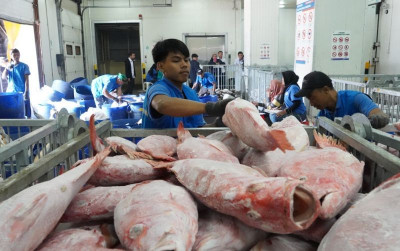 uploads/news/2025/02/sistem-informasi-cold-storage-32426d11f4331fa_400.jpg