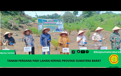 uploads/news/2025/02/sumbar-gelar-tanam-perdana-243264794ae8657_400.png
