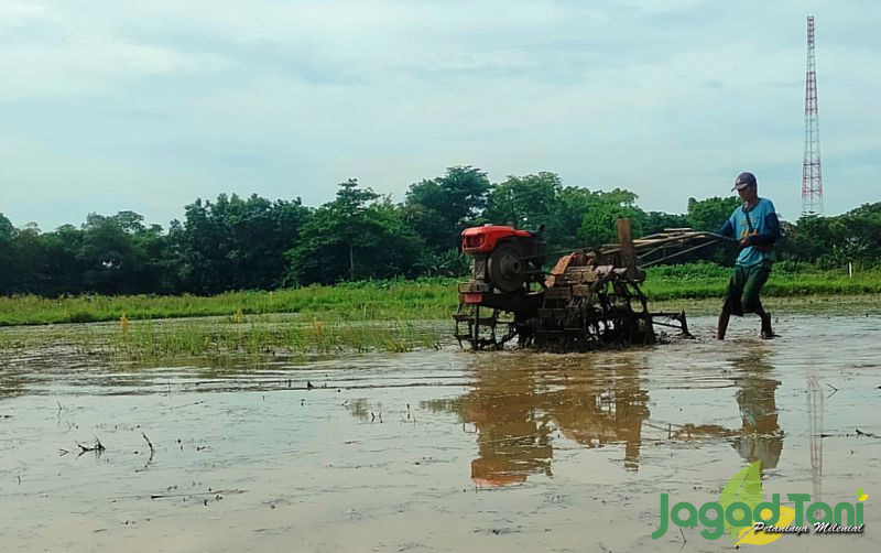 uploads/news/2025/03/banjir-bekasi-pertanian-berpotensi-674970ab116331b.jpg