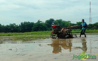 uploads/news/2025/03/banjir-bekasi-pertanian-berpotensi-674970ab116331b_400.jpg