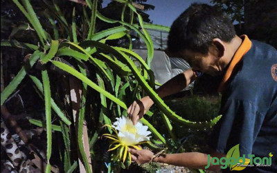 uploads/news/2025/03/brin-kaji-mitigasi-kanker-928475861482bfc_400.jpg