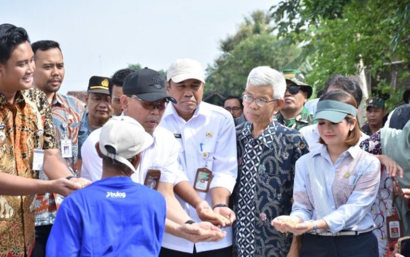 uploads/news/2025/03/bulog-cetak-rekor-penerapan-889746feded685b.jpeg